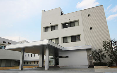 Head Office